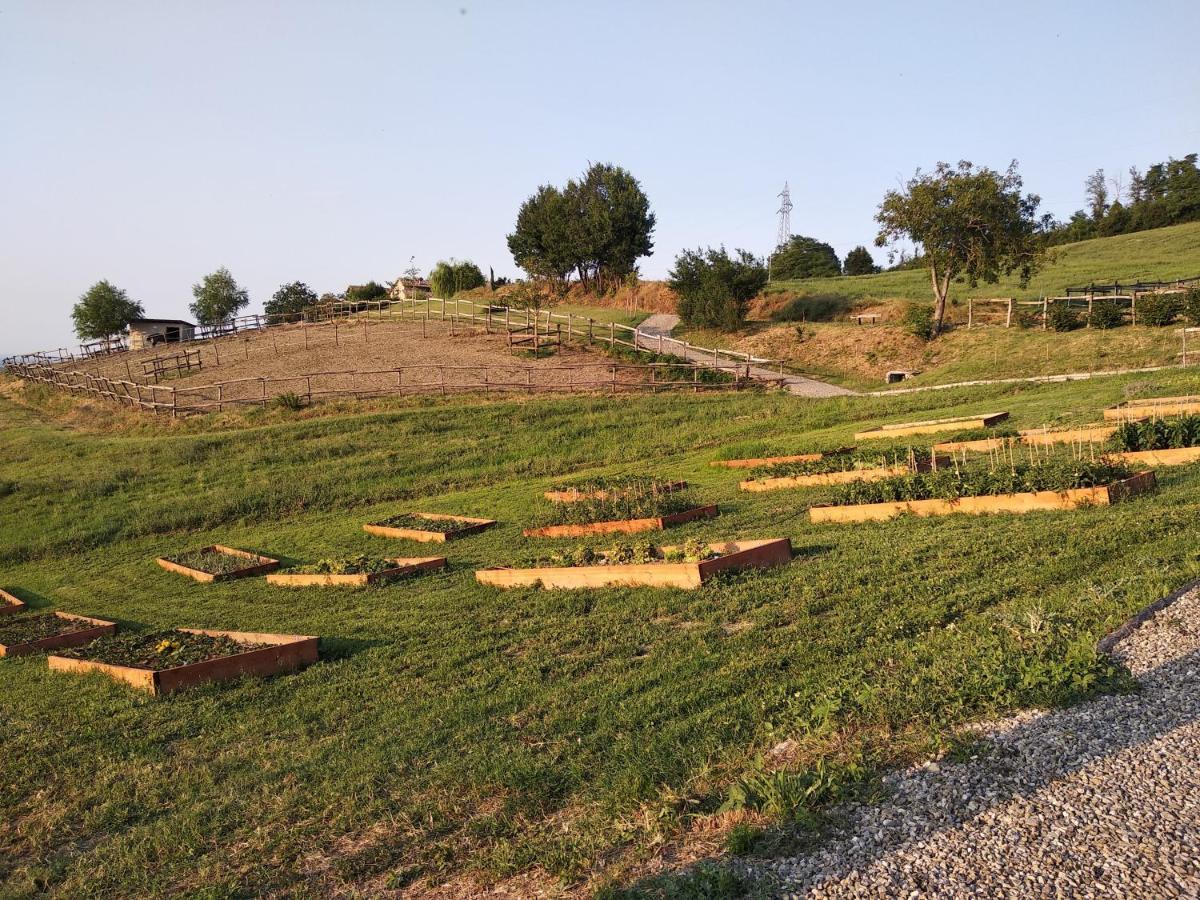 Tenuta I Musi Lunghi Lesignano de' Bagni Екстер'єр фото