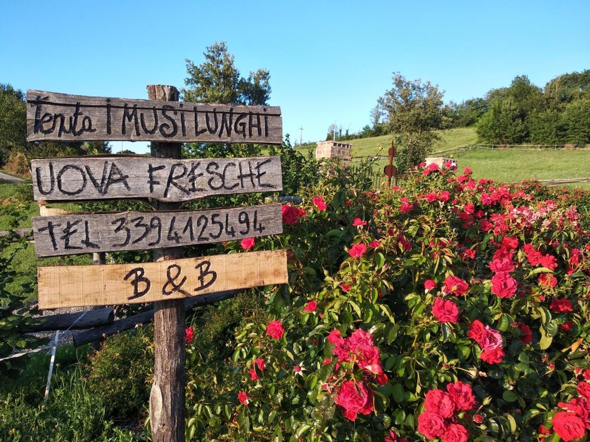 Tenuta I Musi Lunghi Lesignano de' Bagni Екстер'єр фото